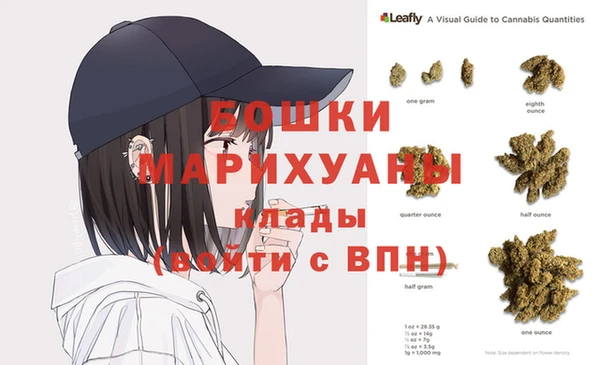 прущие грибы Пестово