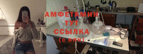 прущие грибы Пестово