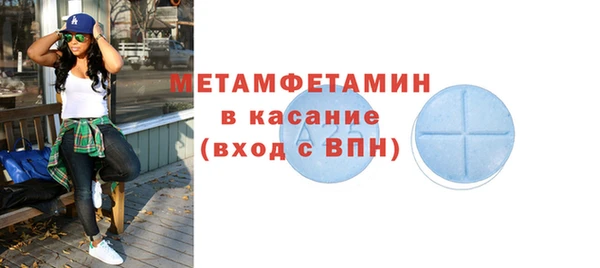 прущие грибы Пестово