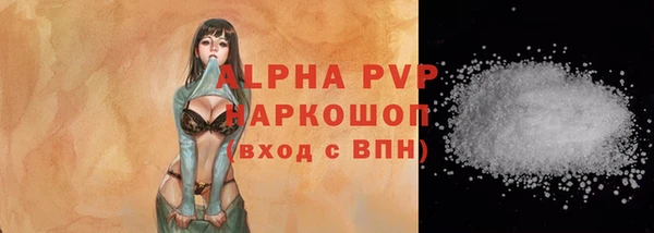 прущие грибы Пестово