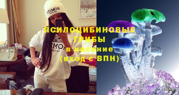 мет Пересвет