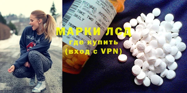прущие грибы Пестово