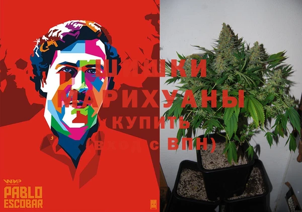 шишки Покров