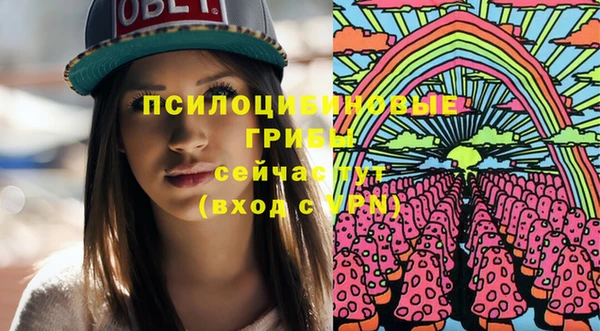 мет Пересвет