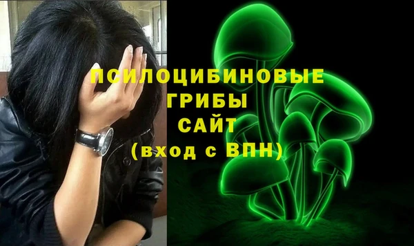 мет Пересвет