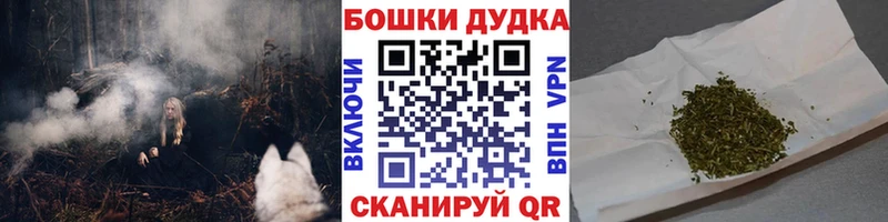 Канабис MAZAR  Полярный 